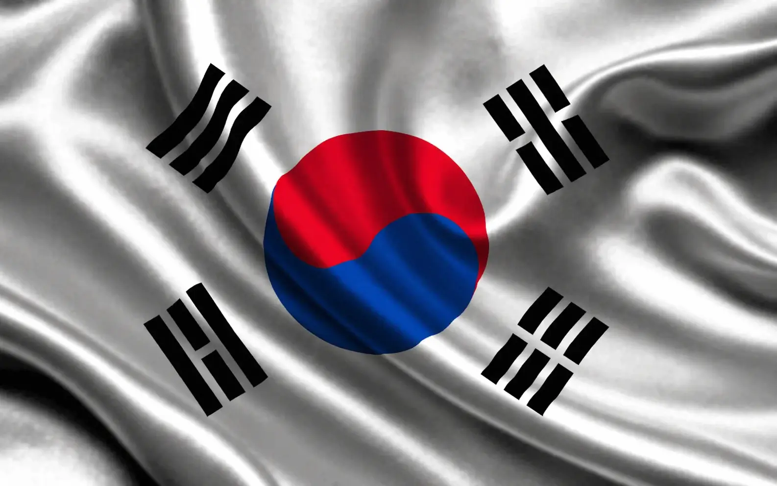 Skywon FX 한국 시장